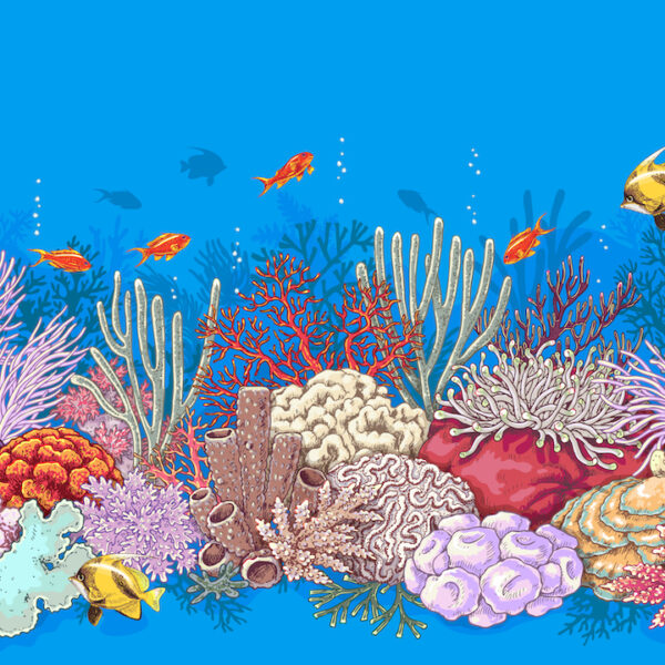 depositphotos_reef_coral